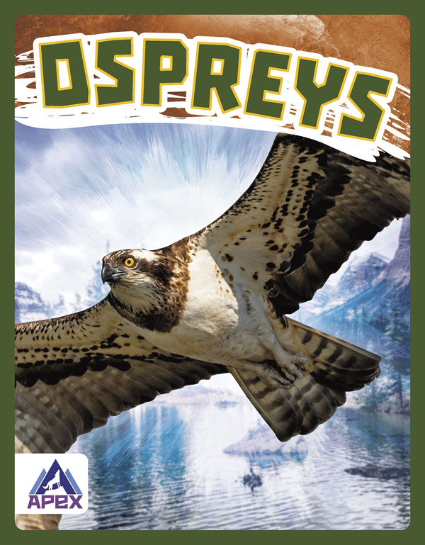 This book gives fascinating facts about ospreys and their lives in the wild. Short paragraphs of easy-to-read text are paired with plenty of colorful photos to make reading engaging and accessible. The book also includes a table of contents, fun facts, sidebars, comprehension questions, a glossary, an index, and a list of resources for further reading. Apex books have low reading levels (grades 2-3) but are designed for older students, with interest levels of grades 3-7. Preview this book.