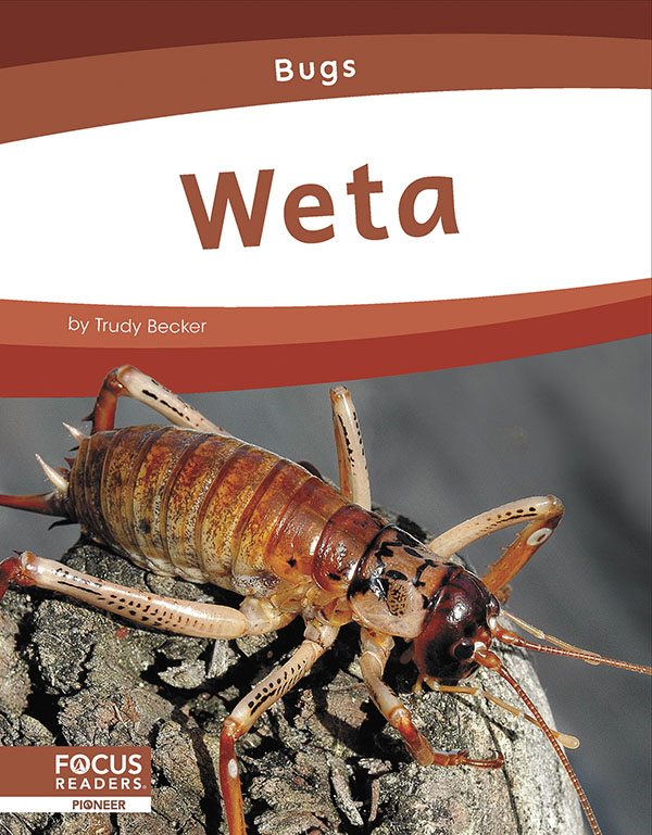 This informative book introduces young readers to the habitat, physical features, diet, and behavior of weta. The book also includes a 