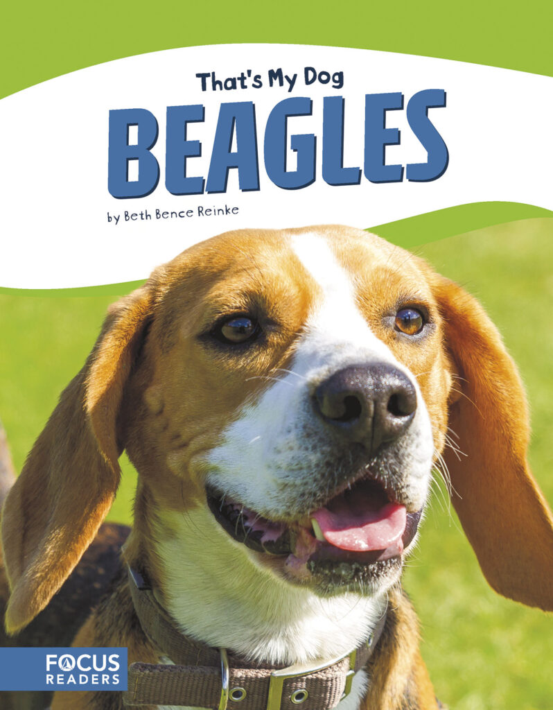 Introduces readers to the history, behavior, and physical description of Beagles. Colorful spreads, fun facts, and a special reading feature make this an exciting read for animal lovers and report writers alike.
