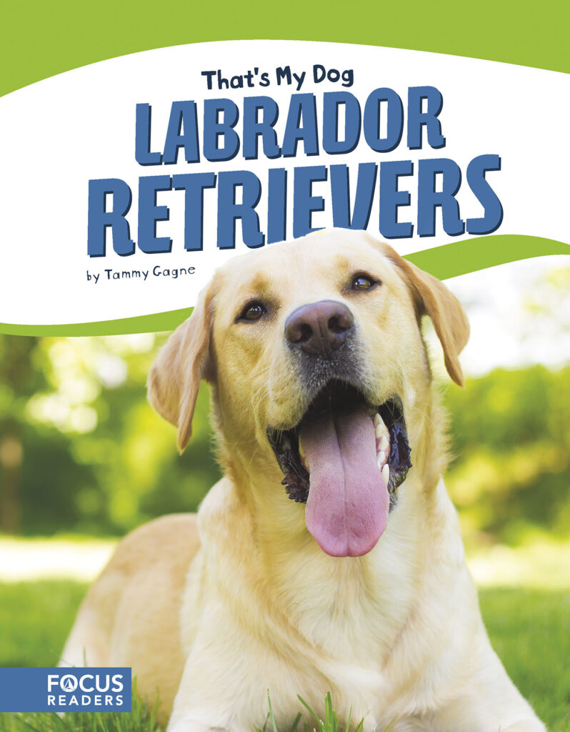 Introduces readers to the history, behavior, and physical description of Labrador Retrievers. Colorful spreads, fun facts, and a special reading feature make this an exciting read for animal lovers and report writers alike.