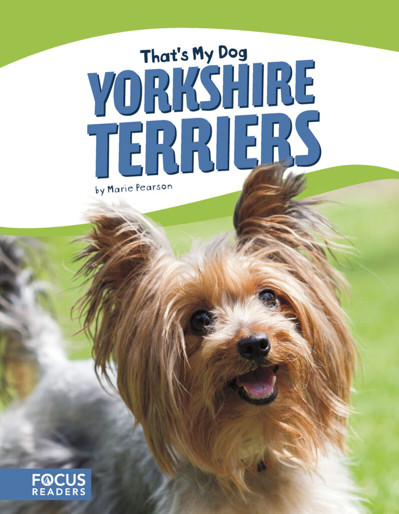 Introduces readers to the history, behavior, and physical description of Yorkshire Terriers. Colorful spreads, fun facts, and a special reading feature make this an exciting read for animal lovers and report writers alike. Preview this book.