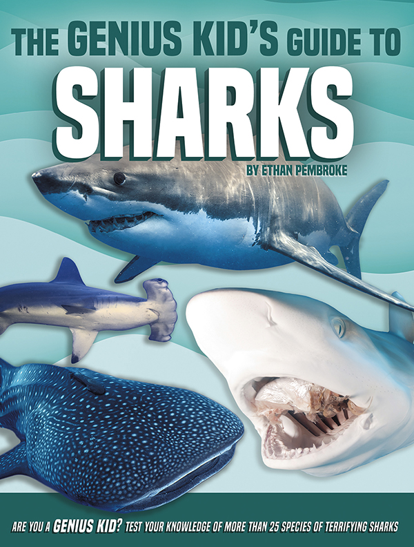 From the big-mouthed basking shark to the ferocious great white, sharks are some of the most extraordinary predators on Earth. These creatures also come in an incredible variety. From the huge whale shark that swims near the surface to the tiny lantern shark that glows in the deep, Earth’s oceans contain hundreds of shark species. This guide highlights more than 25 different types of sharks, detailing what each species looks like, where it lives, and what it eats. Readers also learn about shark life cycles and where or why shark attacks can happen. Packed with eye-catching photos, helpful diagrams, impressive stats, and interesting trivia, this book has everything readers want to know about these thrilling underwater creatures—plus plenty of info they can use to impress their friends. This all-encompassing resource is a must-have for any young reader who wants to be a GENIUS KID!