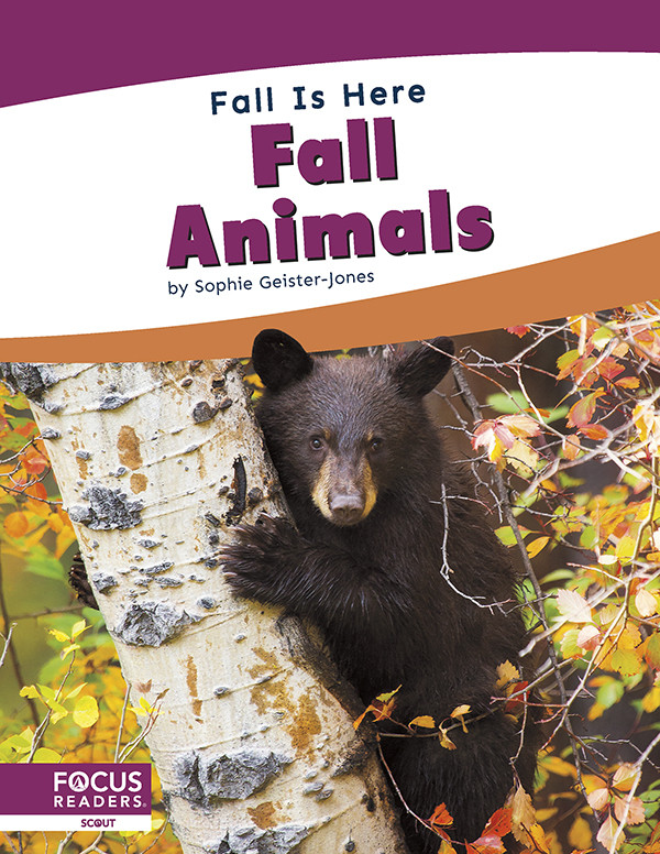 This title introduces early readers to animals in the fall. Simple text, engaging photos, and a photo glossary make this title the perfect introduction to animals in the fall. Preview this book.