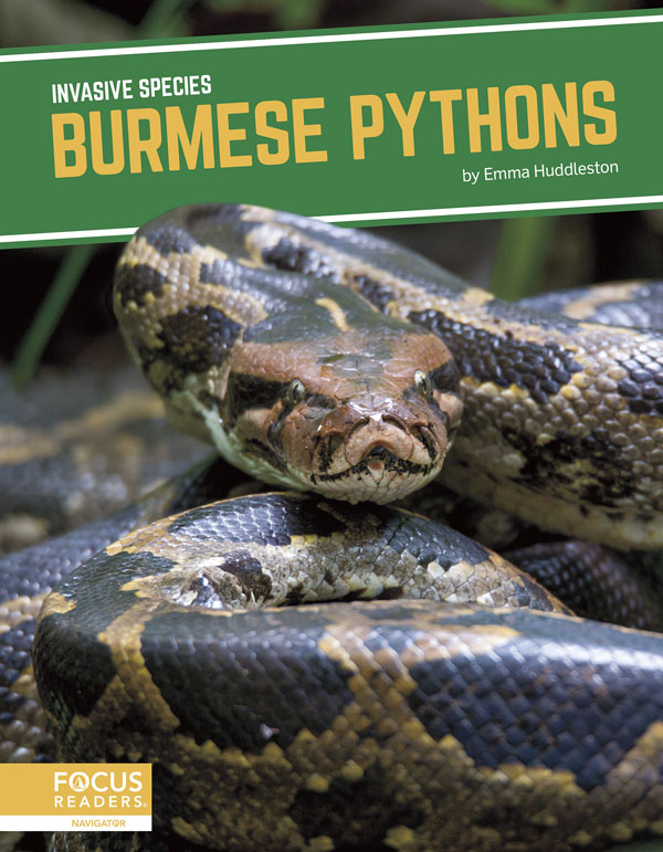 This title explores the role of Burmese pythons in introduced environments, how humans helped spread the species, the threats they pose to ecosystems, and efforts being taken to manage them. This book also includes a table of contents, two infographics, informative sidebars, a “That’s Amazing!” special feature, quiz questions, a glossary, additional resources, and an index. This Focus Readers title is at the Navigator level, aligned to reading levels of grades 3–5 and interest levels of grades 4–7.