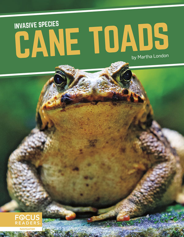This title explores the role of cane toads in introduced environments, how humans helped spread the species, the threats they pose to ecosystems, and efforts being taken to manage them. This book also includes a table of contents, two infographics, informative sidebars, a “That’s Amazing!” special feature, quiz questions, a glossary, additional resources, and an index. This Focus Readers title is at the Navigator level, aligned to reading levels of grades 3–5 and interest levels of grades 4–7. Preview this book.