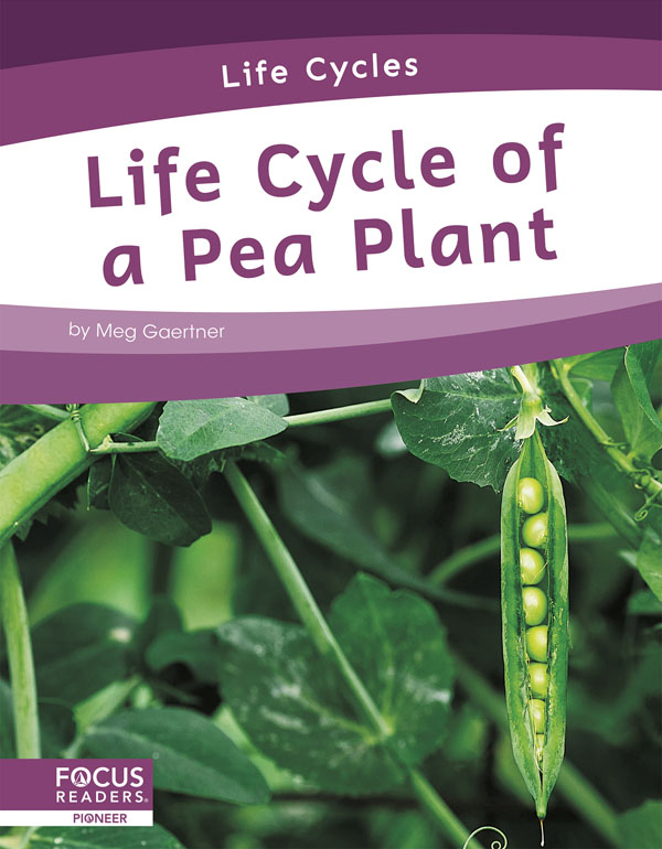 This informative book explains the life cycle of a pea plant, including the stages of development and changes it goes through to become an adult. The book also includes a table of contents, one infographic, informative sidebars, a 