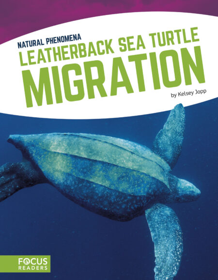 Leatherback Sea Turtle Migration