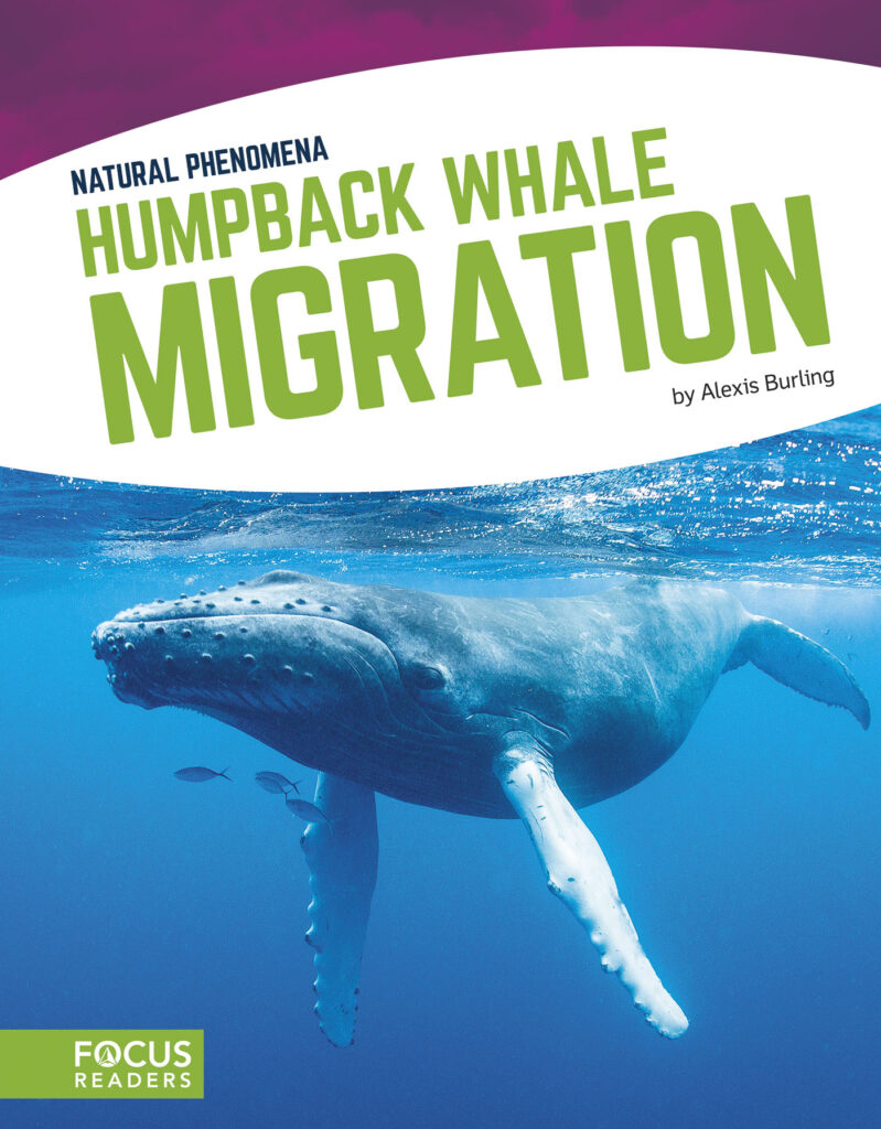 Explains what causes humpback whales to migrate. Beautiful photos, fact-filled text, and helpful infographics help readers learn all about the science behind this phenomenon as well as ways that people study or protect it. Preview this book.
