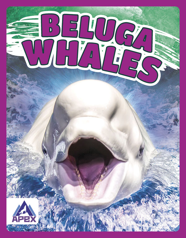 This book gives fascinating facts about beluga whales and their lives in the wild. Short paragraphs of easy-to-read text are paired with plenty of colorful photos to make reading engaging and accessible. The book also includes a table of contents, fun facts, sidebars, comprehension questions, a glossary, an index, and a list of resources for further reading. Preview this book.