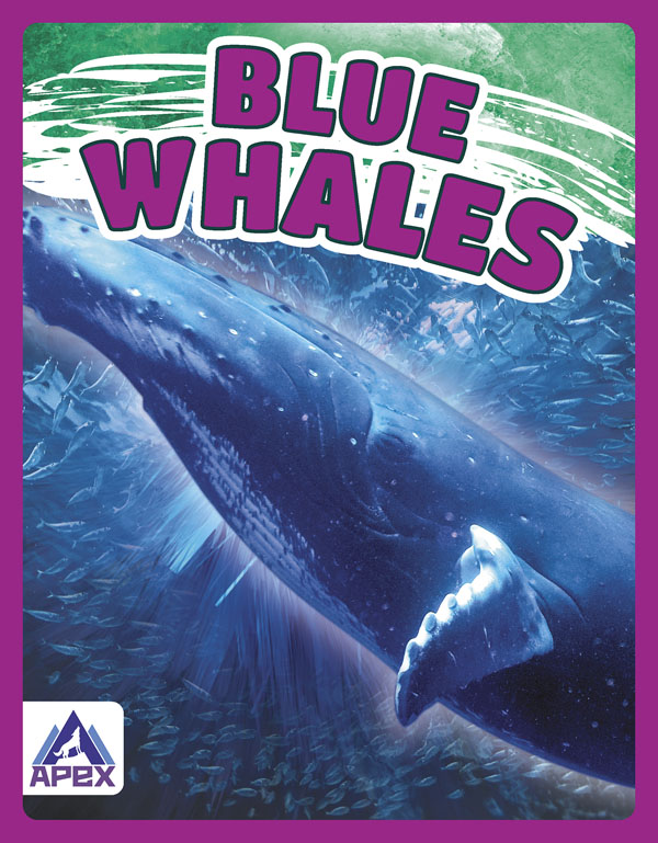 This book gives fascinating facts about blue whales and their lives in the wild. Short paragraphs of easy-to-read text are paired with plenty of colorful photos to make reading engaging and accessible. The book also includes a table of contents, fun facts, sidebars, comprehension questions, a glossary, an index, and a list of resources for further reading. Preview this book.