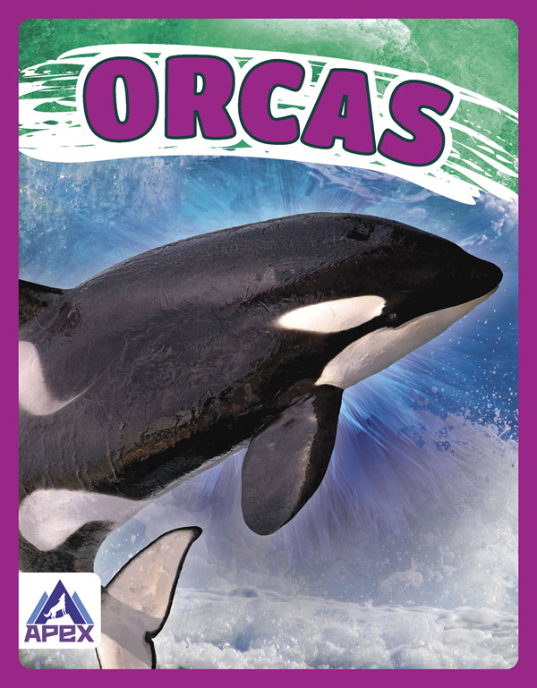 This book gives fascinating facts about orcas and their lives in the wild. Short paragraphs of easy-to-read text are paired with plenty of colorful photos to make reading engaging and accessible. The book also includes a table of contents, fun facts, sidebars, comprehension questions, a glossary, an index, and a list of resources for further reading. Preview this book.