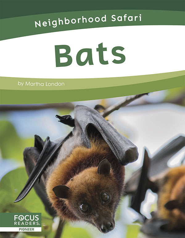 This title describes the habitat, life cycle, and adaptations of bats. Simple text and colorful photos give readers an engaging overview of these amazing creatures and the places they live. Preview this book.