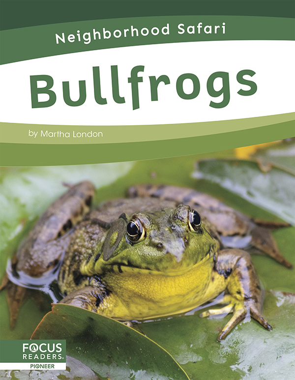 This title describes the habitat, life cycle, and adaptations of bullfrogs. Simple text and colorful photos give readers an engaging overview of these amazing creatures and the places they live. Preview this book.