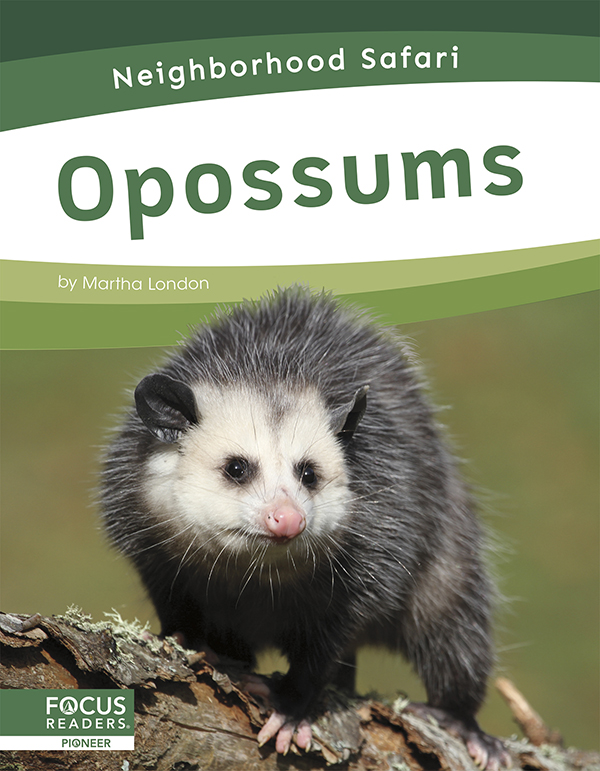 This title describes the habitat, life cycle, and adaptations of opossums. Simple text and colorful photos give readers an engaging overview of these amazing creatures and the places they live. Preview this book.