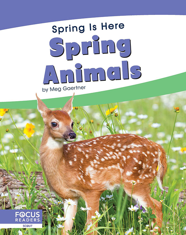 This title introduces readers to the changes animals go through in spring. Simple text, engaging photos, and a photo glossary make this title the perfect introduction to the topic. Preview this book.