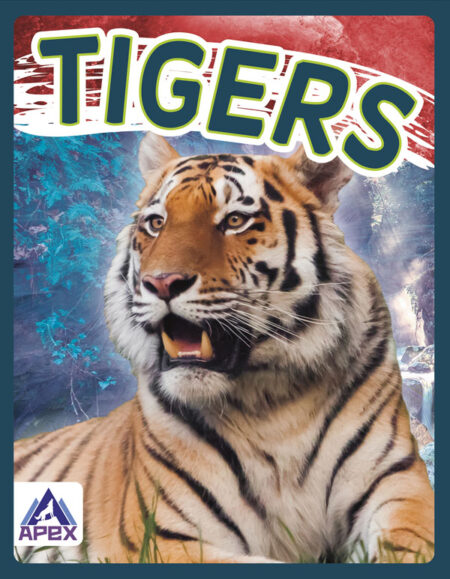 Tigers