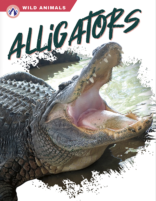This title introduces readers to alligators, covering their habitat, their physical characteristics, and threats to the species. This title features informative sidebars, detailed infographics, vivid photos, and a glossary. Preview this book.