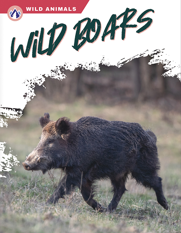 This book gives an engaging overview of wild boars, from their diet and habitat to how they dig up fields for food. Short paragraphs of easy-to-read text are paired with plenty of colorful photos to make reading engaging and accessible. The book also includes a table of contents, fun facts, sidebars, comprehension questions, a glossary, an index, and a list of resources for further reading. Apex books have low reading levels (grades 2-3) but are designed for older students, with interest levels of grades 3-7. Preview this book.