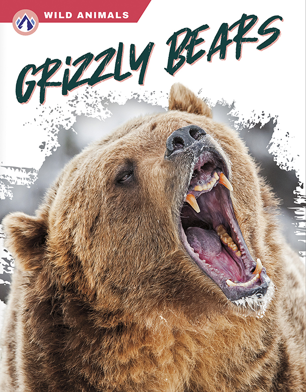 This book gives an engaging overview of grizzly bears, from their diet and habitat to how they rest in dens during winter. Short paragraphs of easy-to-read text are paired with plenty of colorful photos to make reading engaging and accessible. The book also includes a table of contents, fun facts, sidebars, comprehension questions, a glossary, an index, and a list of resources for further reading. Apex books have low reading levels (grades 2-3) but are designed for older students, with interest levels of grades 3-7. Preview this book.