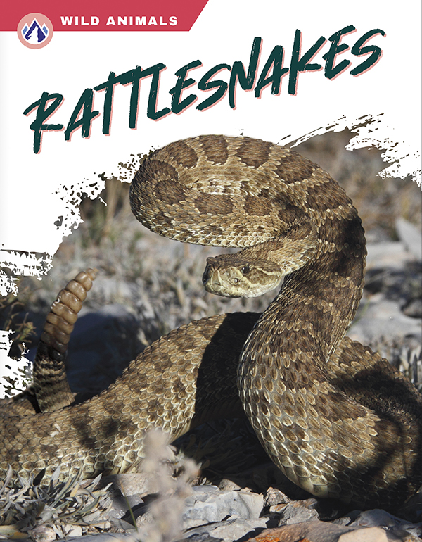 This book gives an engaging overview of rattlesnakes, from their diet and habitat to how they shake their tails as a warning. Short paragraphs of easy-to-read text are paired with plenty of colorful photos to make reading engaging and accessible. The book also includes a table of contents, fun facts, sidebars, comprehension questions, a glossary, an index, and a list of resources for further reading. Apex books have low reading levels (grades 2-3) but are designed for older students, with interest levels of grades 3-7. Preview this book.