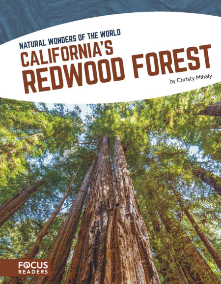 California’s Redwood Forest