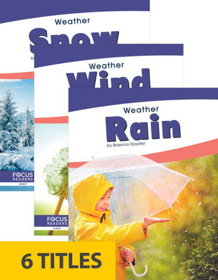 Weather (Set of 6)