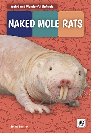This title offers a compelling look at the behavior, habitat, and life cycle of naked mole rats. Vivid photographs and easy-to-read text aid comprehension for readers. Features include a table of contents, two infographics, fun facts, a sidebar, Making Connections questions, a glossary, and an index. QR Codes in the book give readers access to book-specific resources to further their learning.