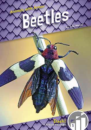 This title focuses on beetles and gives information related to their bodies, habitats, food, and life cycles. The title is complete with beautiful and colorful photographs, simple text, and a database for added activities. Aligned to Common Core Standards and correlated to state standards. Launch! is an imprint of Abdo Zoom, a division of ABDO. Preview this book.
