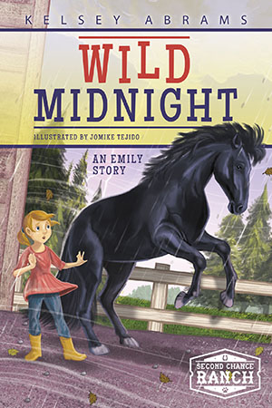 Emily has her heart set on rescuing a wild mustang, but her family gets outbid at an auction. Instead she settles for helping a nearby ranch muck out stalls where some of the mustangs now reside. She quickly earns a reputation as a horse whisperer for her ability to calm Midnight, a horse that others cannot control. But even Emily can’t help when a tornado blows through the area and Midnight gets loose. Or can she? 

At Second Chance Ranch, the Ramirez family works to find homes for all kinds of animals on their 200-acre ranch in Texas. Sisters Natalie (12), Abby (10), and twins Emily and Grace (9) all do their part to give each animal the second chance it deserves. Preview this book.