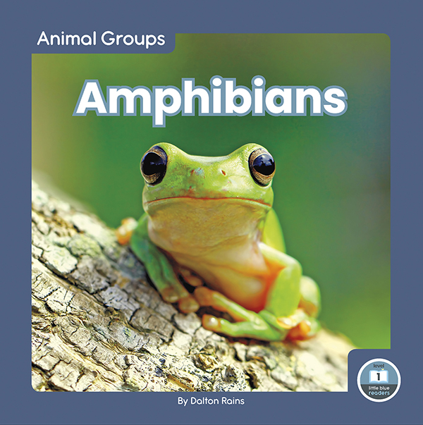This fun book provides an easy-to-read introduction to amphibians. The book features simple text and vibrant photos, making it a perfect choice for beginning readers. It also includes a table of contents, infographic, picture glossary, and index. This Little Blue Readers book is at Level 1, aligned to reading levels of grades PreK-1 and interest levels of grades PreK-2. Preview this book.