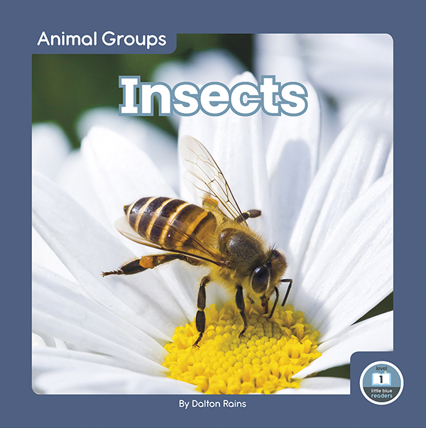 This fun book provides an easy-to-read introduction to insects. The book features simple text and vibrant photos, making it a perfect choice for beginning readers. It also includes a table of contents, picture glossary, and index. This Little Blue Readers book is at Level 1, aligned to reading levels of grades PreK-1 and interest levels of grades PreK-2. Preview this book.