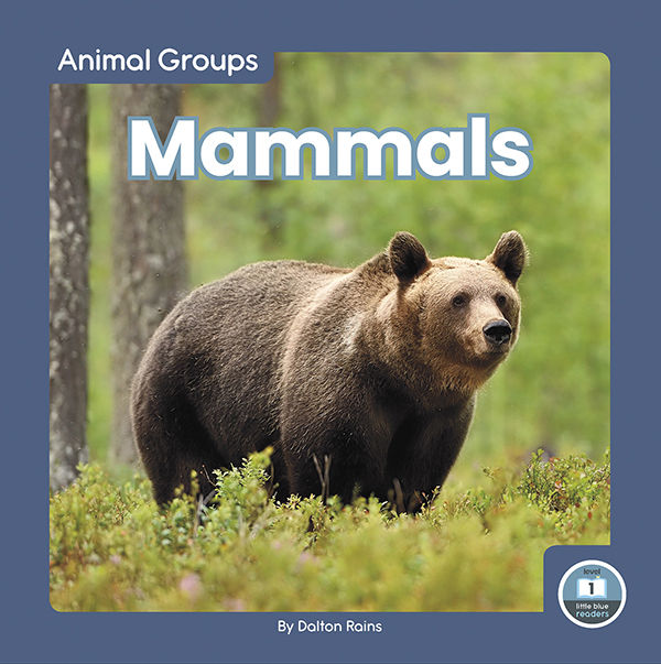 This fun book provides an easy-to-read introduction to mammals. The book features simple text and vibrant photos, making it a perfect choice for beginning readers. It also includes a table of contents, picture glossary, and index. This Little Blue Readers book is at Level 1, aligned to reading levels of grades PreK-1 and interest levels of grades PreK-2. Preview this book.