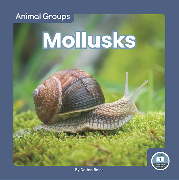 This fun book provides an easy-to-read introduction to mollusks. The book features simple text and vibrant photos, making it a perfect choice for beginning readers. It also includes a table of contents, picture glossary, and index. This Little Blue Readers book is at Level 1, aligned to reading levels of grades PreK-1 and interest levels of grades PreK-2. Preview this book.