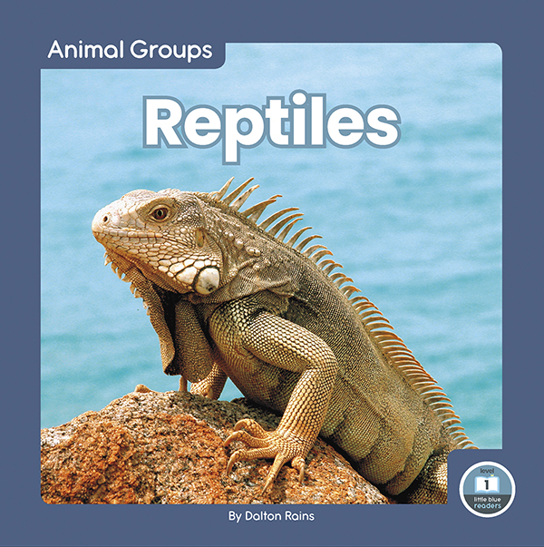 This fun book provides an easy-to-read introduction to reptiles. The book features simple text and vibrant photos, making it a perfect choice for beginning readers. It also includes a table of contents, picture glossary, and index. This Little Blue Readers book is at Level 1, aligned to reading levels of grades PreK-1 and interest levels of grades PreK-2. Preview this book.