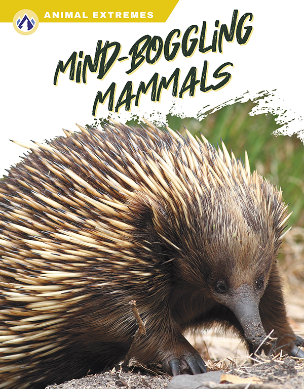 This book highlights mammals with surprisingly strange looks or behaviors. Short paragraphs of easy-to-read text and plenty of colorful photos make reading simple and exciting. The book also includes a table of contents, fun facts, sidebars, comprehension questions, a glossary, an index, and a list of resources for further reading. Apex books have low reading levels (grades 2-3) but are designed for older students, with interest levels of grades 3-7. Preview this book.