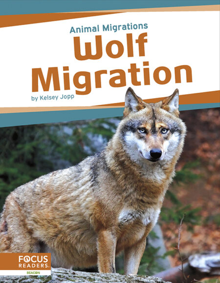 Wolf Migration