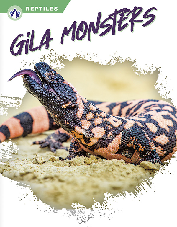 This book gives an engaging overview of Gila monsters, from their diet and habitat to their venomous bites. Short paragraphs of easy-to-read text are paired with plenty of colorful photos to make reading engaging and accessible. The book also includes a table of contents, fun facts, sidebars, comprehension questions, a glossary, an index, and a list of resources for further reading. Apex books have low reading levels (grades 2-3) but are designed for older students, with interest levels of grades 3-7. Preview this book.