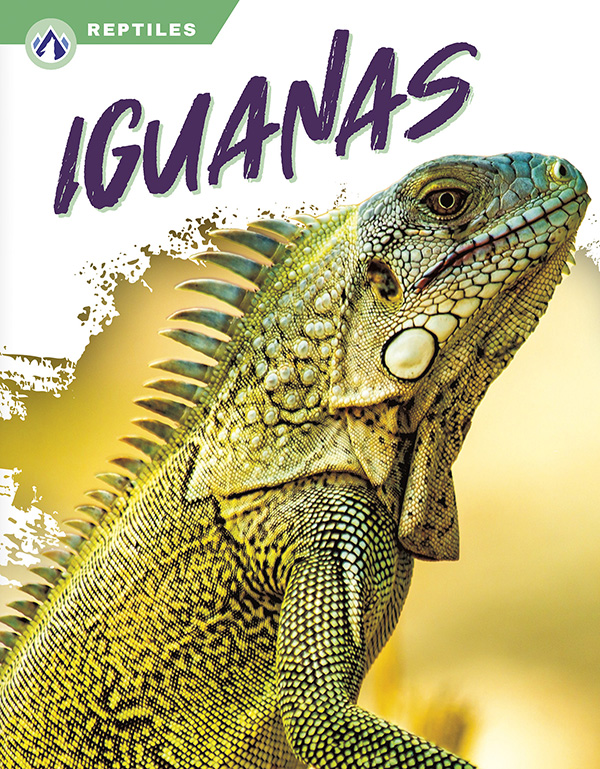 This book gives an engaging overview of iguanas, from their diet and habitat to amazing ability to regrow their tails. Short paragraphs of easy-to-read text are paired with plenty of colorful photos to make reading engaging and accessible. The book also includes a table of contents, fun facts, sidebars, comprehension questions, a glossary, an index, and a list of resources for further reading. Apex books have low reading levels (grades 2-3) but are designed for older students, with interest levels of grades 3-7. Preview this book.