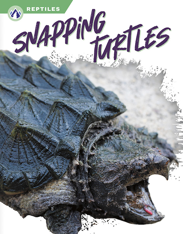 This book gives an engaging overview of snapping turtles, from their diet and habitat to their powerful jaws for catching prey. Short paragraphs of easy-to-read text are paired with plenty of colorful photos to make reading engaging and accessible. The book also includes a table of contents, fun facts, sidebars, comprehension questions, a glossary, an index, and a list of resources for further reading. Apex books have low reading levels (grades 2-3) but are designed for older students, with interest levels of grades 3-7. Preview this book.
