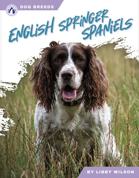 English Springer Spaniels