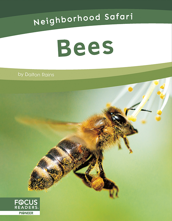 This informative book describes the habitats, life cycle, and adaptations of bees. This book also features an 
