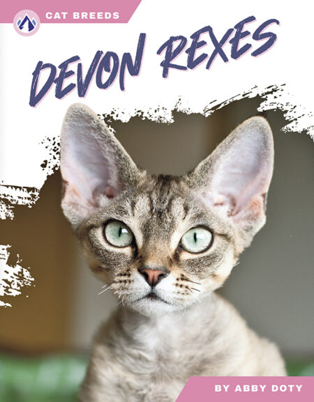 Devon Rexes