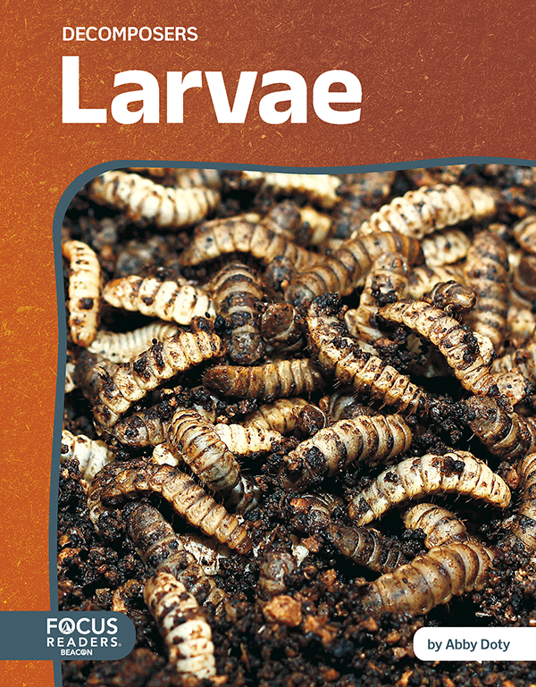 Larvae