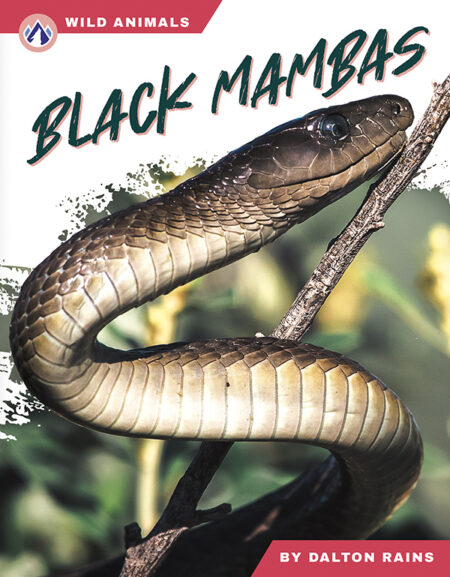 Black Mambas