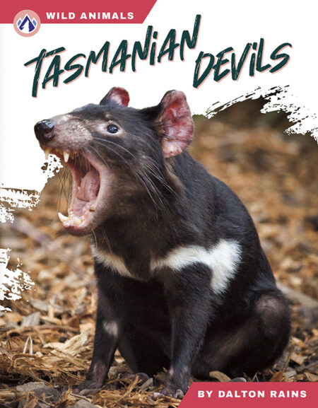 Tasmanian Devils