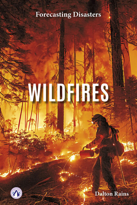 Wildfires