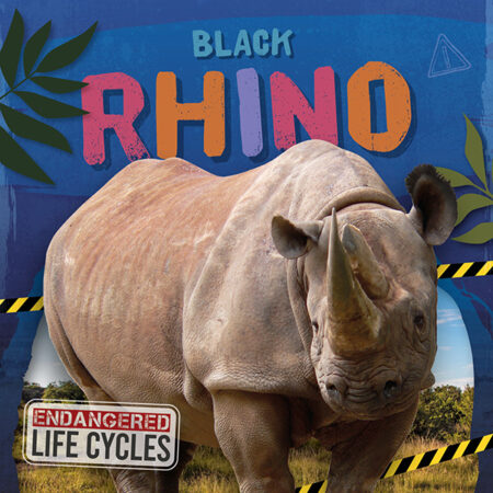 Black Rhino