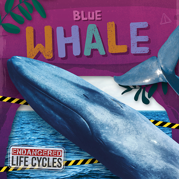 Blue Whale