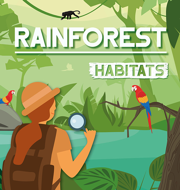 Rainforest Habitats