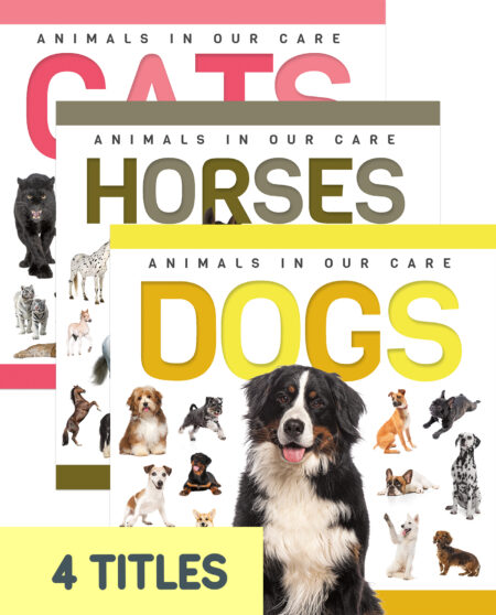 Genius Kid: Animals in our Care (Set of 4)
